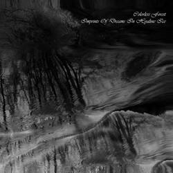 Colorless Forest : Imprints of Dreams in Hyaline Ice